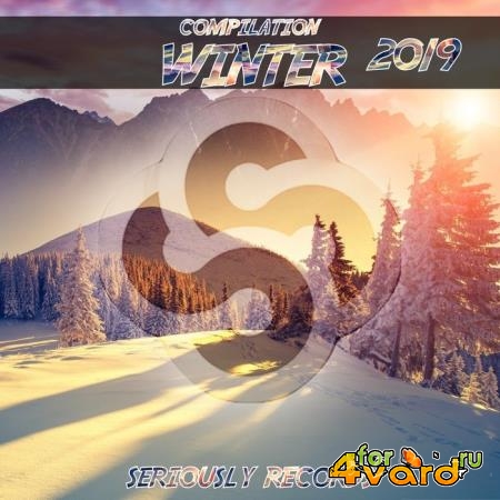 Seriously Records Presents Compilation Winter 2019 (2018)