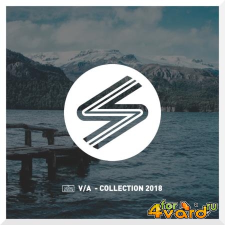 Collection, Vol. 7 (2019)