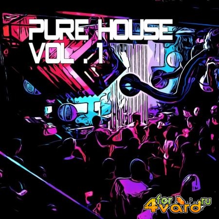 Pure House Vol 1 (Compiled And Mixed By Disco Van) (2019)