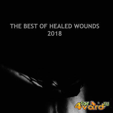 Modular Phaze - The Best Of Healed Wounds 2018 (2019) Flac