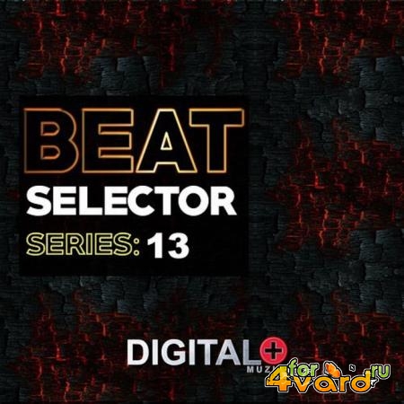 Beat Selector Series 13 (2019)