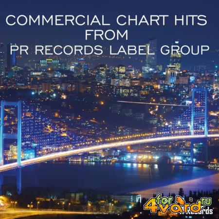 Commercial Chart Hits From PR Records Label Group (2019)