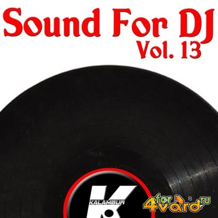 Sound For Dj Vol 13 (2019)