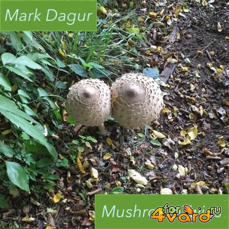 Mark Dagur - Mushroom Twins (2019)