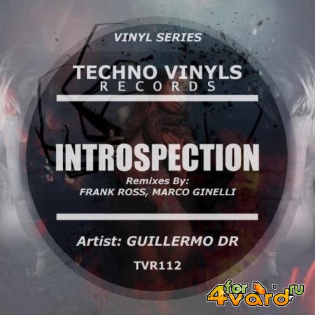 Guillermo DR - Introspection (2019)