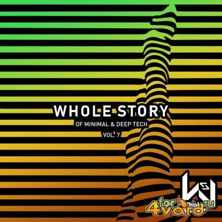 Whole Story Of Minimal and Deep Tech, Vol. 7 (2019)