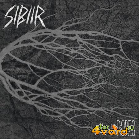 SIBIIR - Ropes (2019)