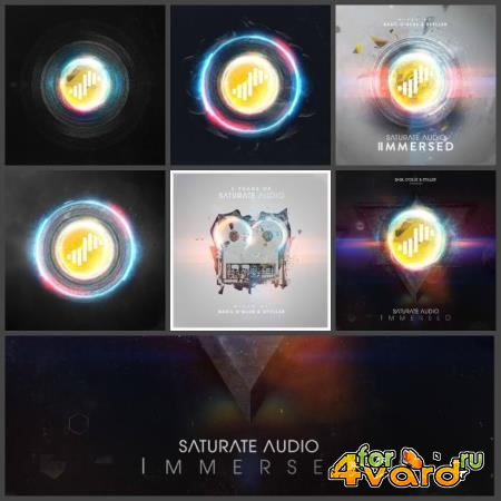 Saturate Audio - 6 Compilations - 2014-2019 (2019) FLAC