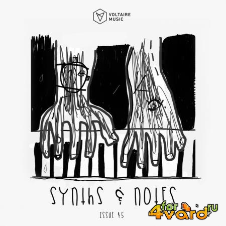 Synths and Notes 45 (2019)