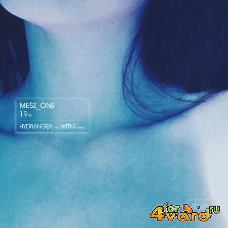 Mesz_one - 19HZ (2019)
