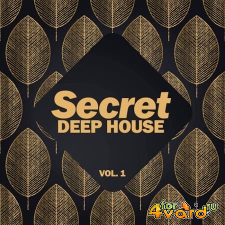 Secret Deep House, Vol. 1 (2019)