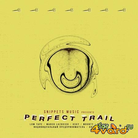 Snippets Music - Perfect Trail (2019)