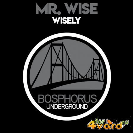 Mr. Wise - Wisely (2019)