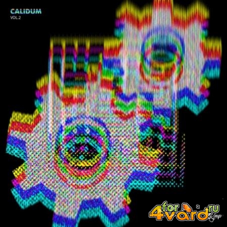 Calidum Vol 2 (2019)