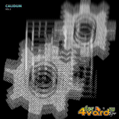 Calidum Vol 3 (2019)