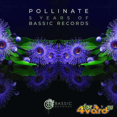 Pollinate (5 Years of Bassic Records) (2019)