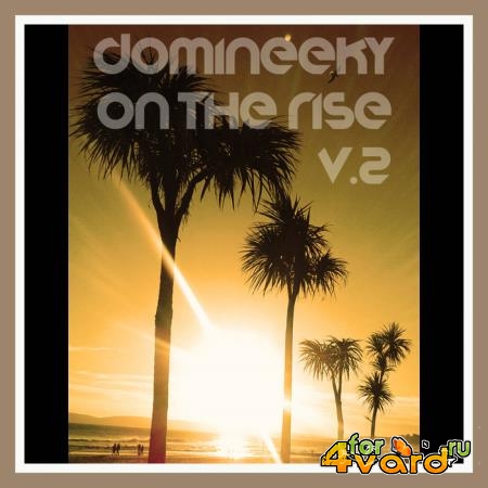 Domineeky - On The Rise V. 2 (2019)