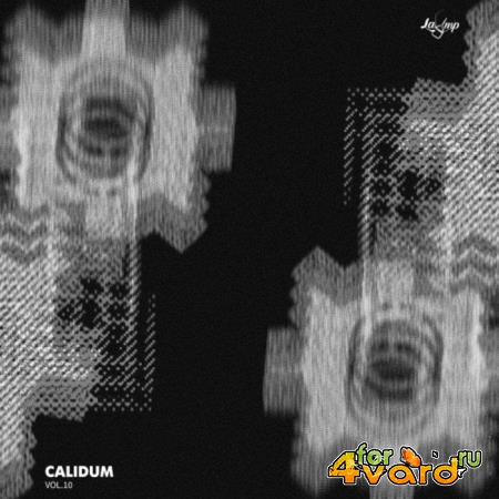 Calidum Vol 10 (2019)