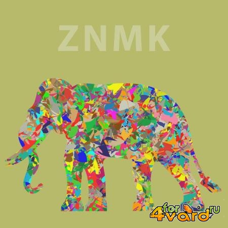 ZNMK - Demand Tech (2020)