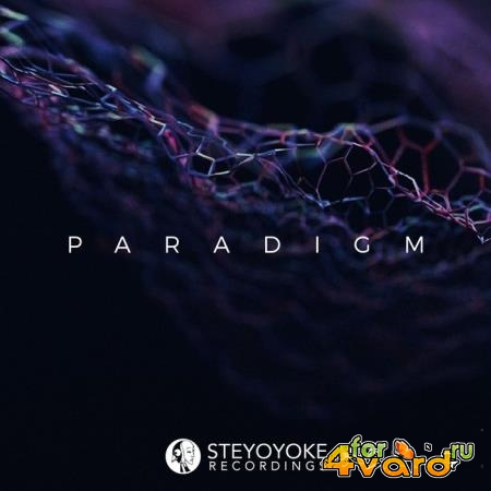 Steyoyoke Paradigm, Vol. 06 (2020)