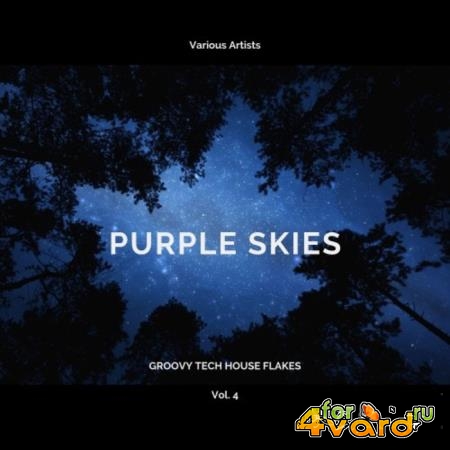 Purple Skies (Groovy Tech House Flakes), Vol. 4 (2020)