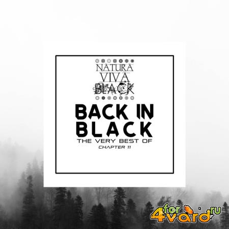 Back in Black! (The very best of) Chapter 11 (2020)