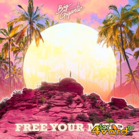 Big Gigantic - Free Your Mind (2020)