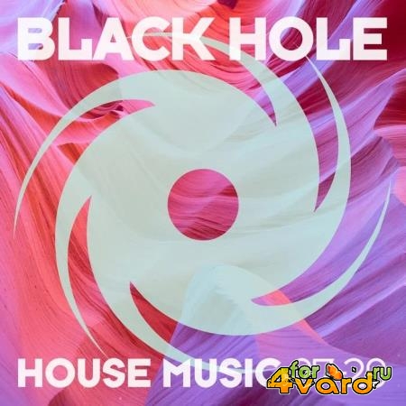 Black Hole: Black Hole House Music 07-20 (2020)