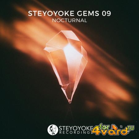 Steyoyoke Gems Nocturnal 09 (2020) FLAC