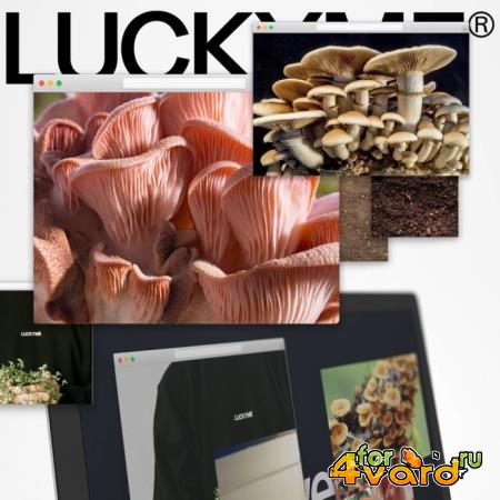 LuckyMe Advent Calendar 20 (2020)