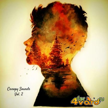 Canopy Sounds Chapter 2 (2021)