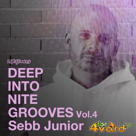 Sebb Junior - Deep Into Nite Grooves, Vol. 4 (2021) FLAC