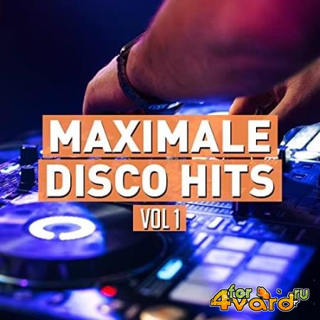 Maximale Disco Hits 2021 (2021)