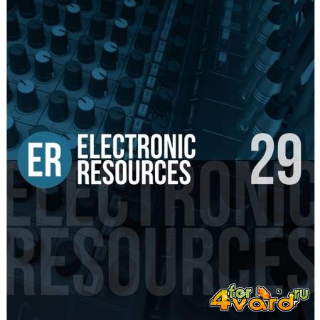 Electronic Resources, Vol. 29 (2021)
