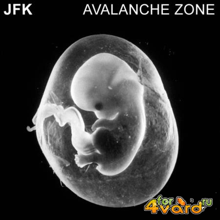 JFK - Avalanche Zone (2021)