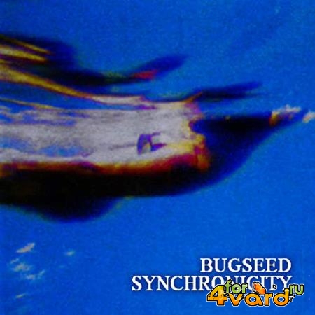 Bugseed - Synchronicty (2021)