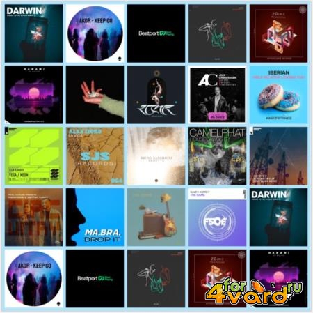 Beatport Music Releases Pack 2920 (2021)