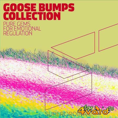 Goose Bumps Collection, Vol. 6 (2021)