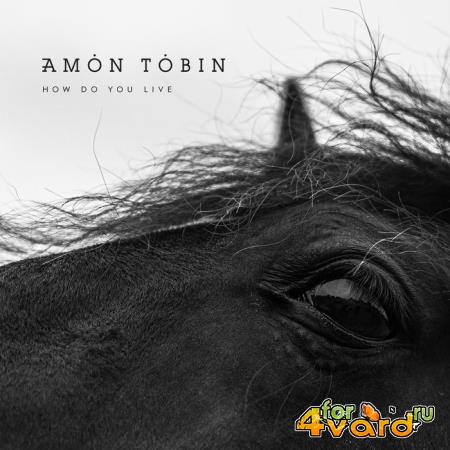 Amon Tobin - How Do You Live (2021)