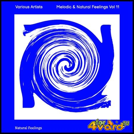 Melodic & Natural Feelings Vol 11 (2021)