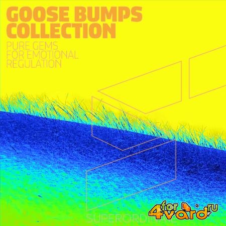 Goose Bumps Collection, Vol. 6 (2021)