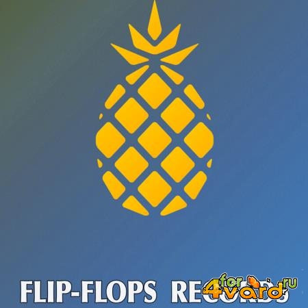 Flip-Flops - Implementation (2021)