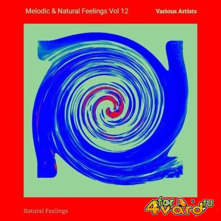 Melodic & Natural Feelings Vol 12 (2021)