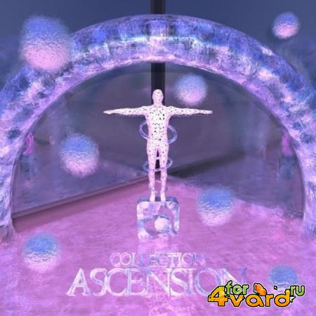 COLLECTION: ASCENSION (2021)