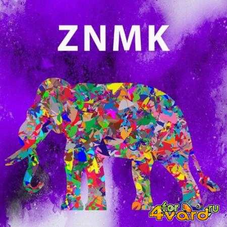 ZNMK - Technologicality (2021)