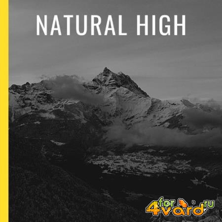 Future Technology - Natural High (2021)