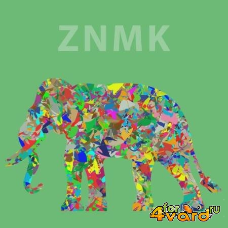 ZNMK - Starting Point (2021)