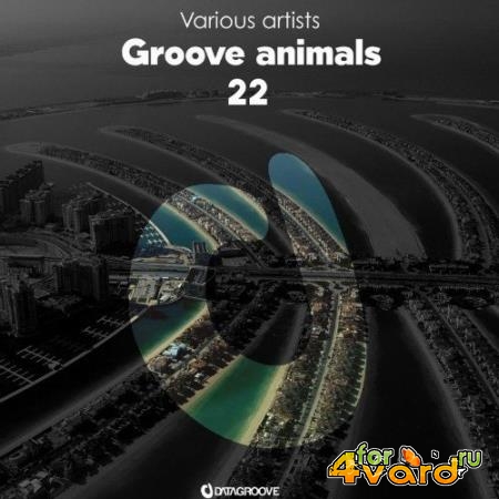 Groove Animals 22 (2021)