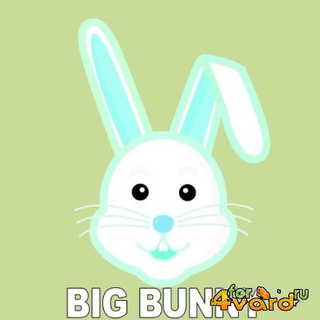 Big Bunny - The Lumen (2021)