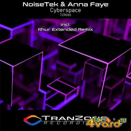 NoiseTek & Anna Faye - Cyberspace (Incl. Ithur Extended Remix) (2021)